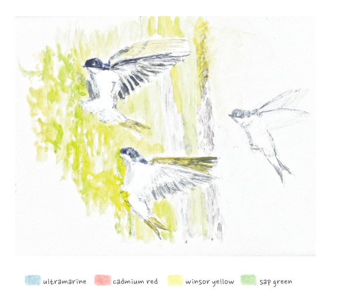housemartin2