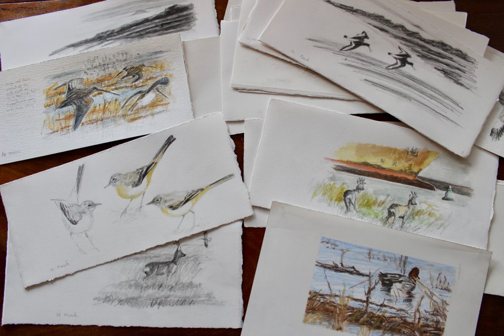 I have hundreds of loose sketches so this is a great way of displaying them.