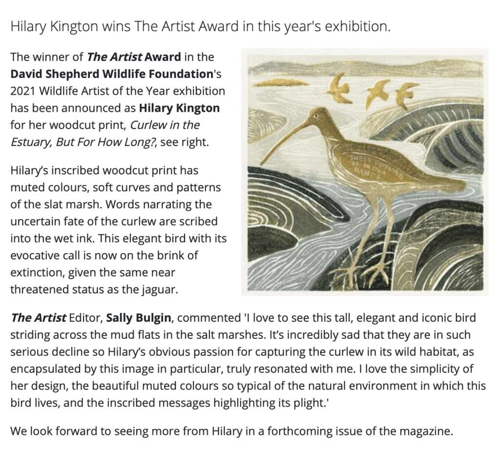 Hilary Kington wins The Artist Award