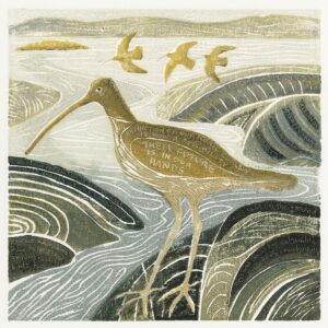 Curlews in the Estuary but for how long in Wildlife Artist of the Year 2021