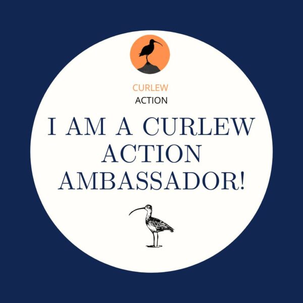 Ambassador for Curlew Action