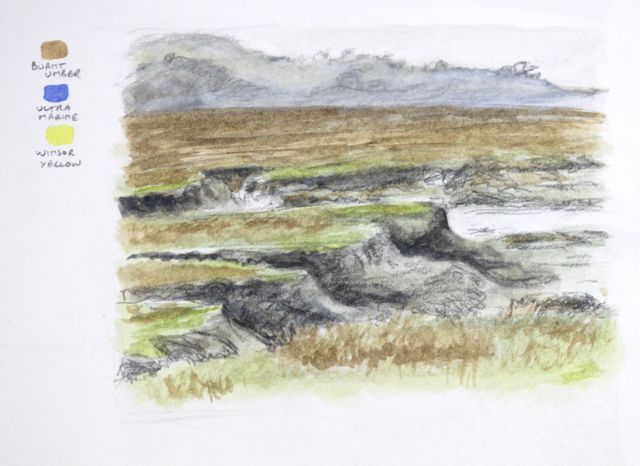 One of the sketches on my salt marsh blog